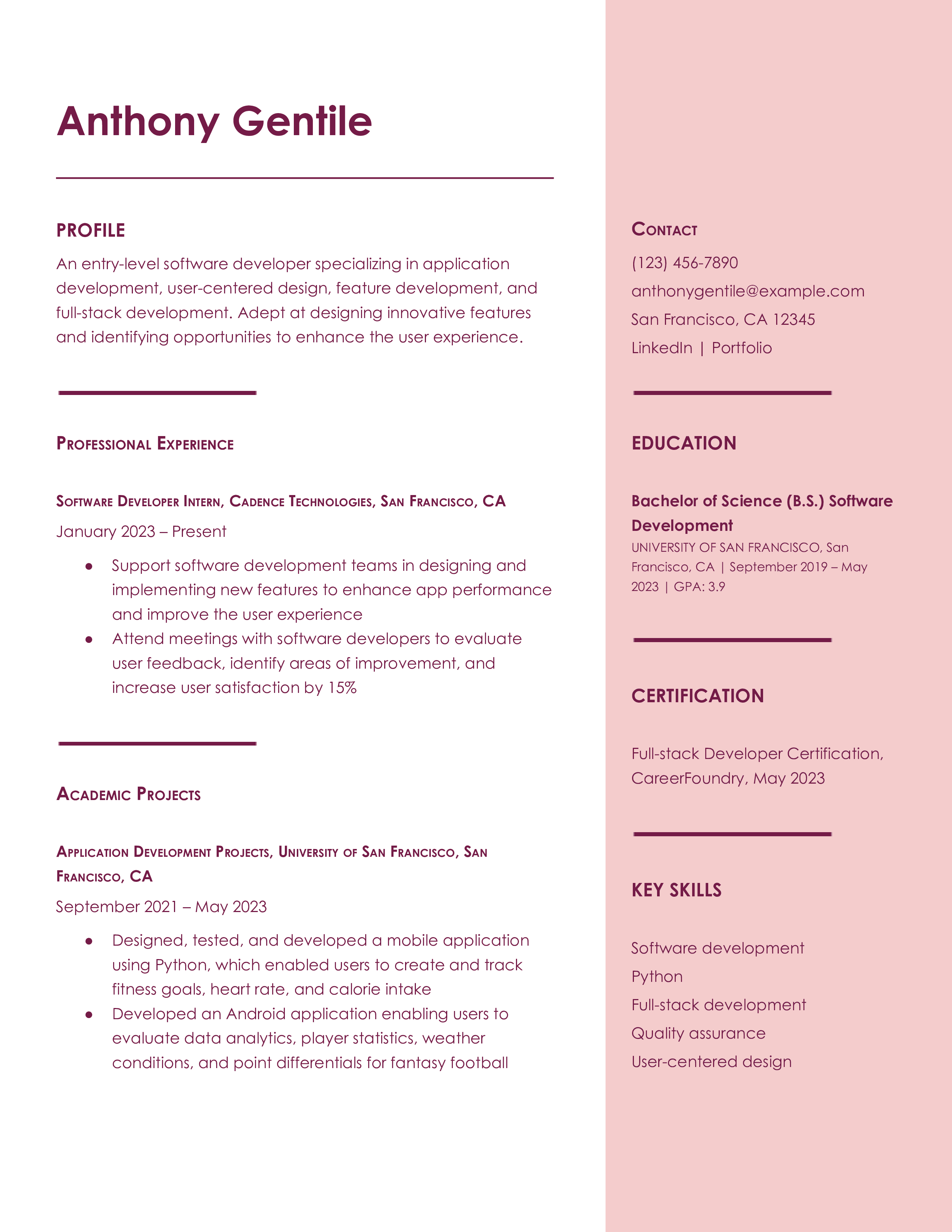 Resume Template Classic Professional